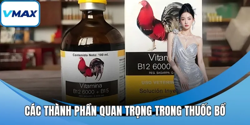 Các thành phần quan trọng trong thuốc bổ