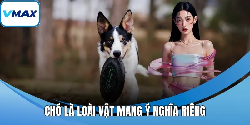 Chó là loài vật mang ý nghĩa riêng trong giới tâm linh