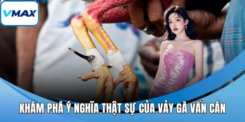 Khám phá ý nghĩa thật sự của vảy gà vấn cán