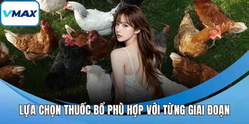 Lựa chọn thuốc bổ phù hợp với từng giai đoạn
