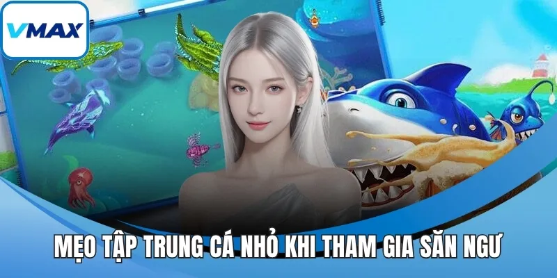 Mẹo tập trung cá nhỏ khi tham gia săn ngư