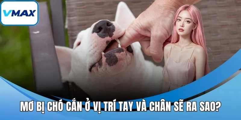 Mơ bị chó cắn ở vị trí tay và chân sẽ ra sao?