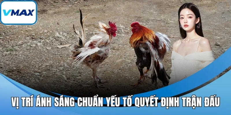 Vị trí ánh sáng chuẩn yếu tố quyết định trận đấu
