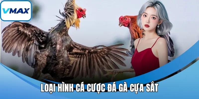 Loại hình cá cược đá gà cựa sắt